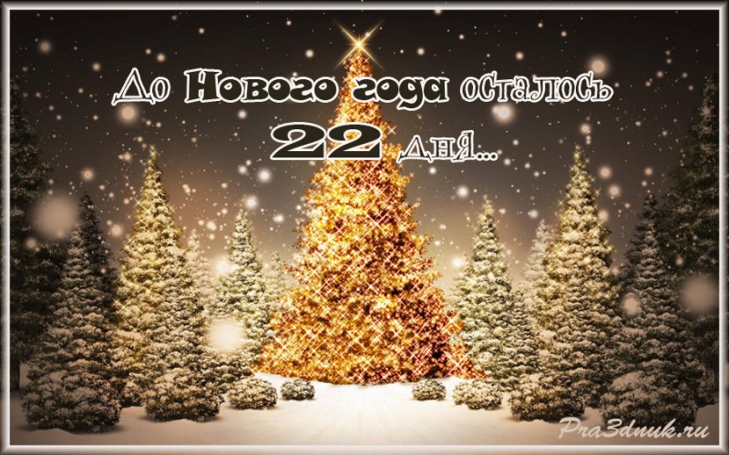 22 дня до нового года