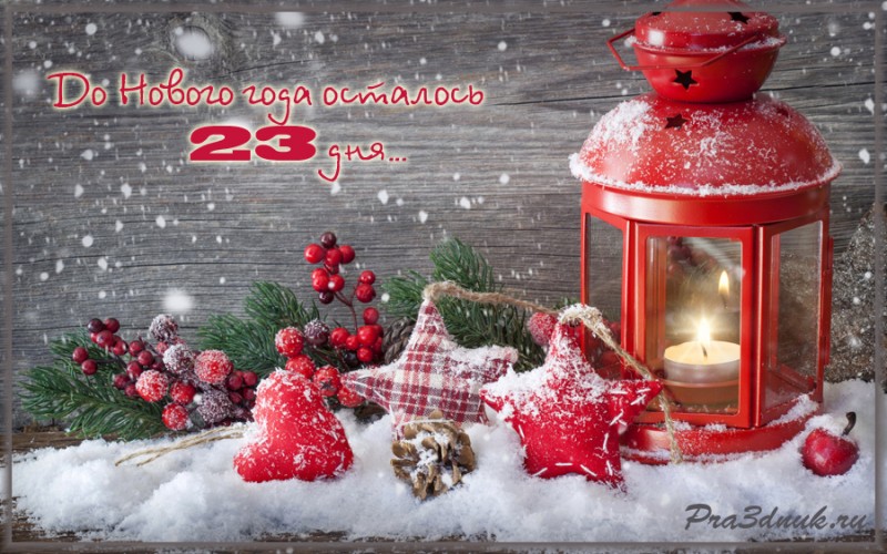 23 дня до нового года