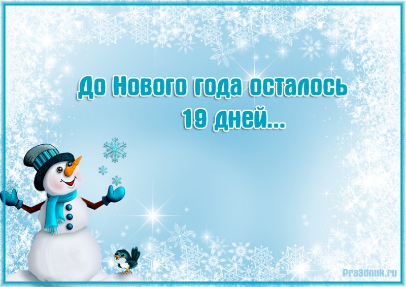 19 дней до нового года