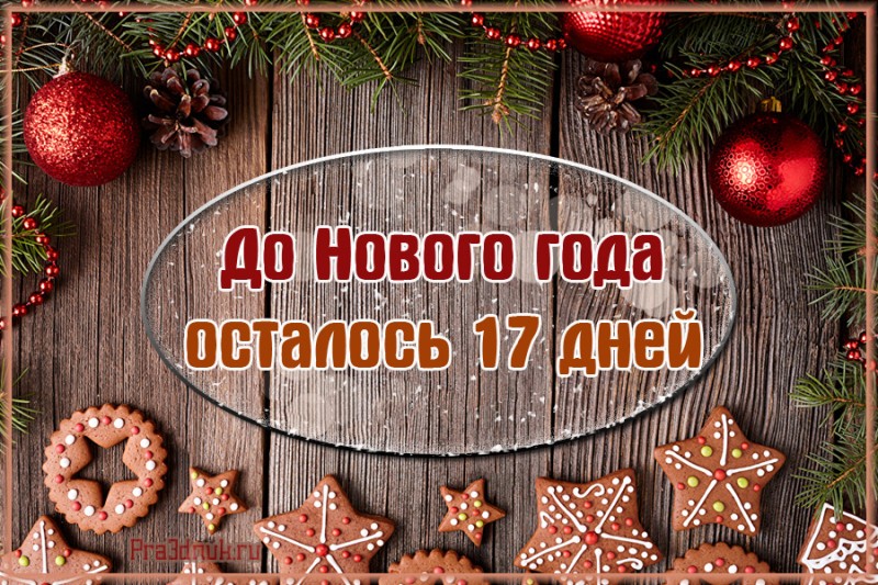 17 дней до нового года