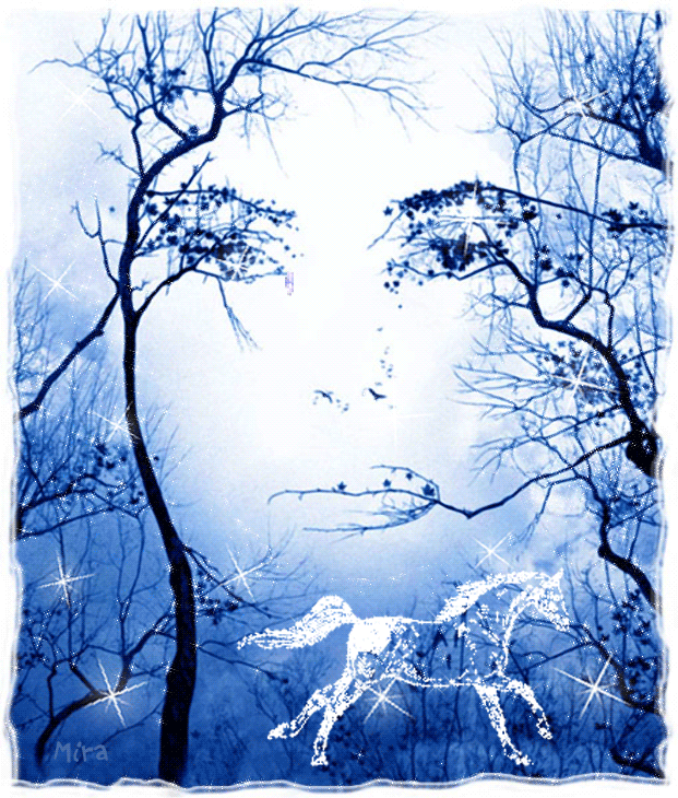 ���������, �������� � �������