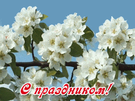 СТИХИ НА 1 МАЯ