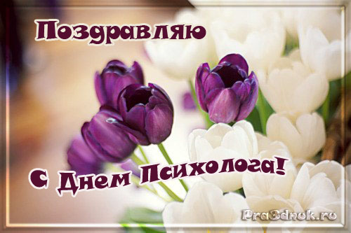 с днем психолога россии