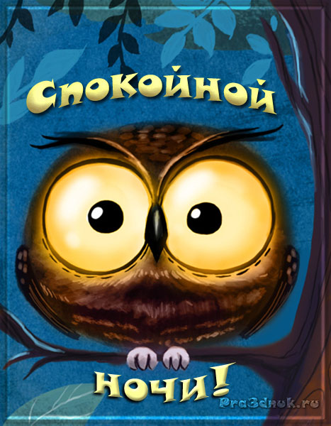 http://www.pra3dnuk.ru/foto/8/spokojnoj_nochi_sova.jpg