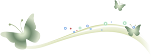 линейка ромашки png