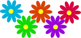 png ромашки разделитель